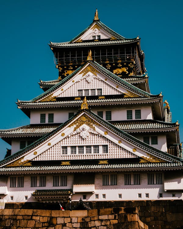 Historic Beauty of Kyoto (dreamy vacation)